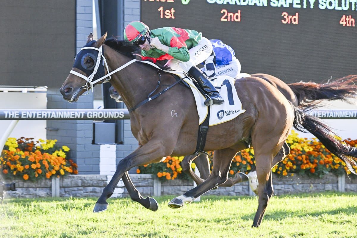 Waller wary of flying Jenni ahead of Cup quest