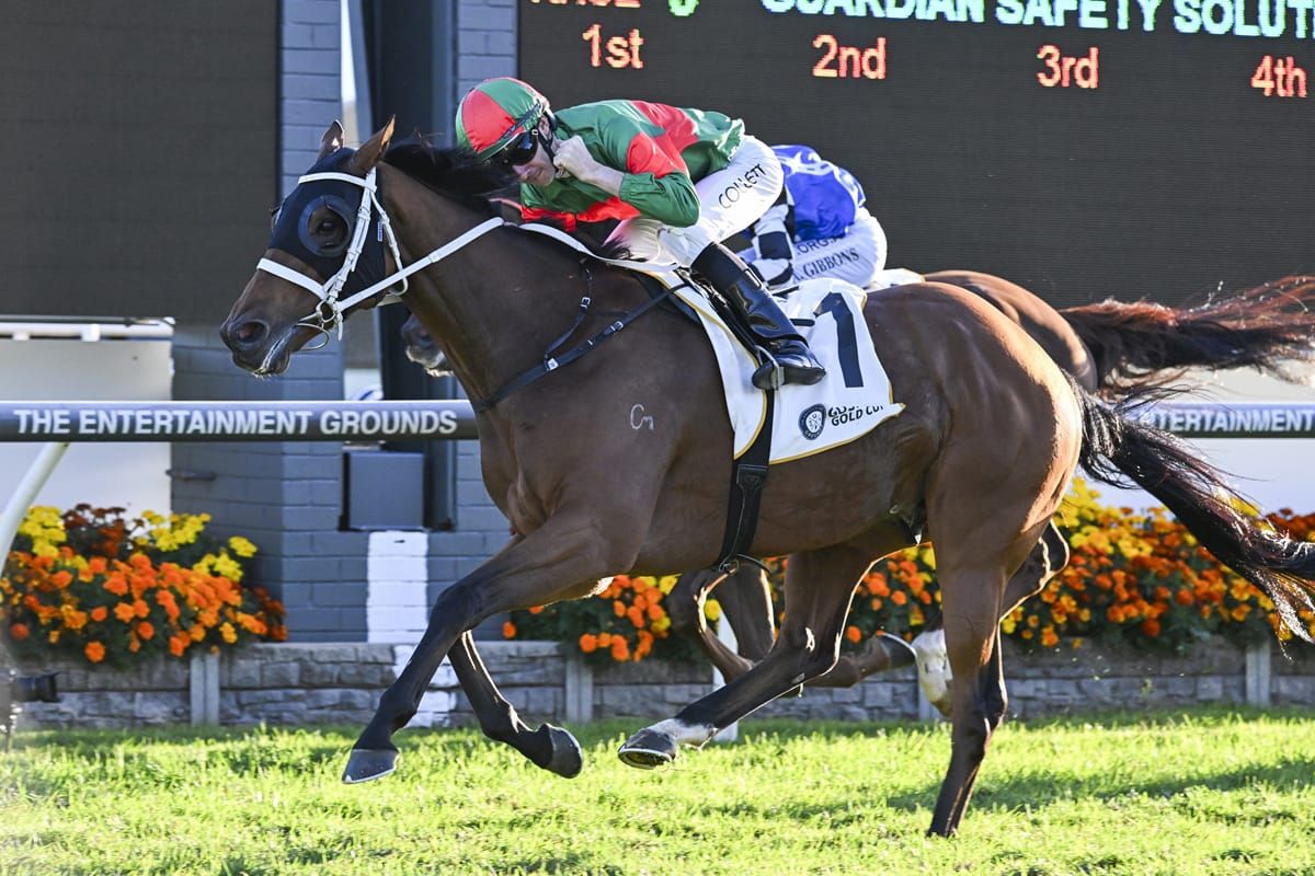 Gosford Gold Cup completes black-type double for Asterix