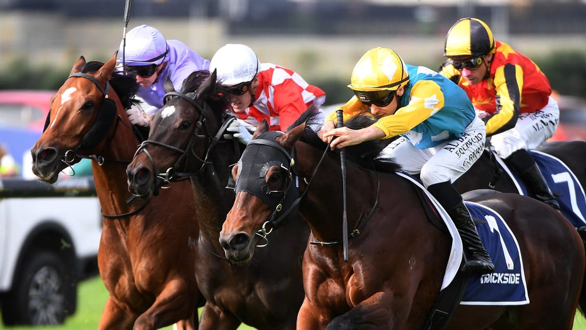 Bulgari caps consistent form with Ellerslie success