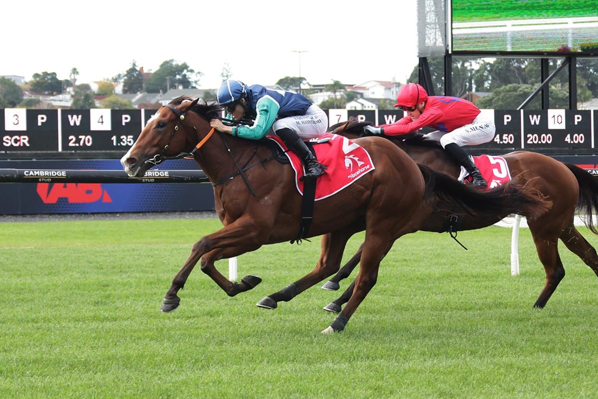 Nolans dine out on Dee Oysters debut win