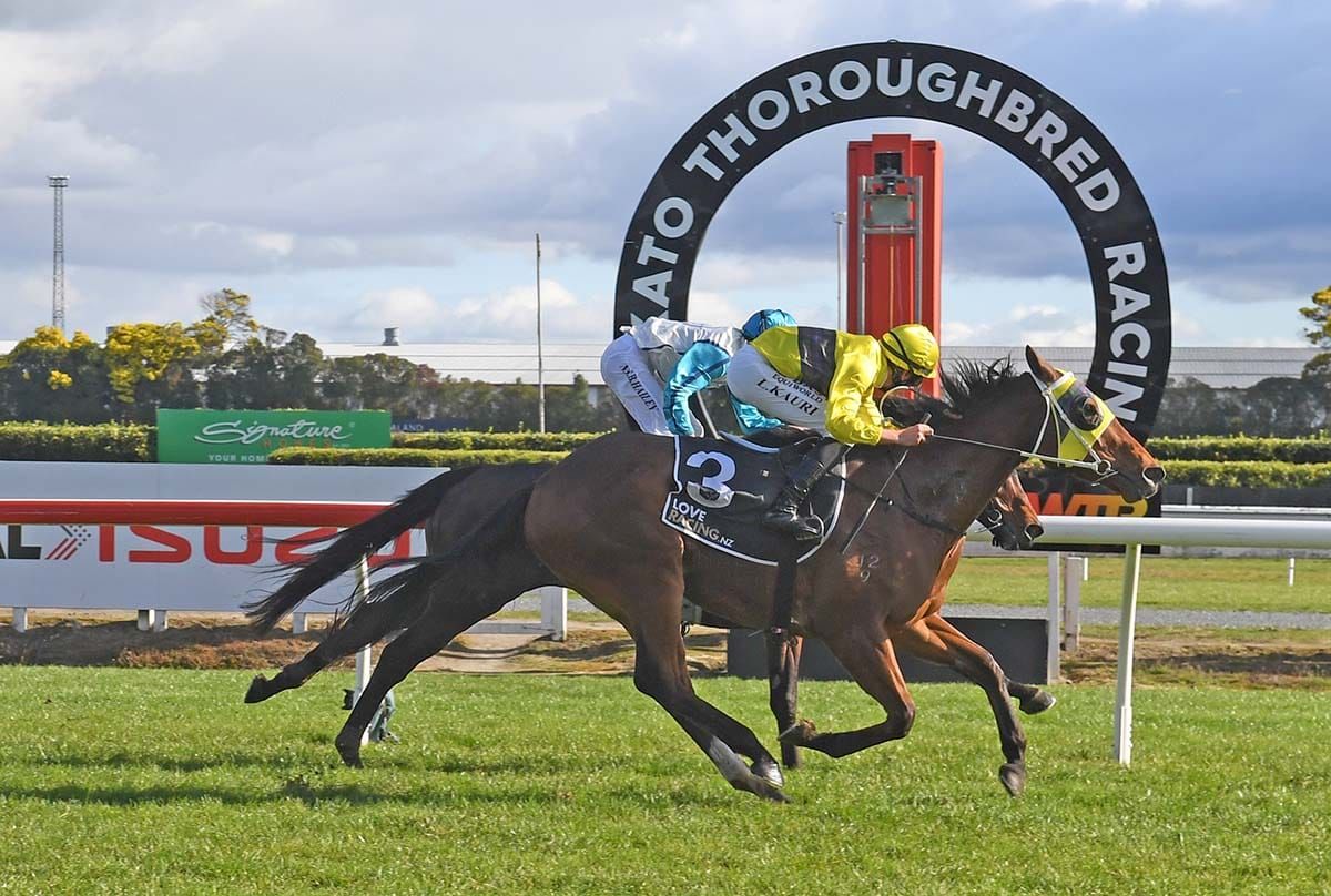 Second Foxbridge Plate bid on Dusty’s program