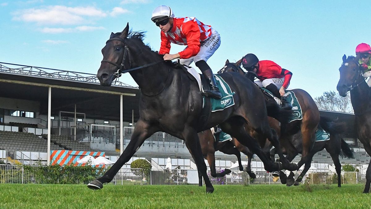 Feature race quinella for James and Wellwood