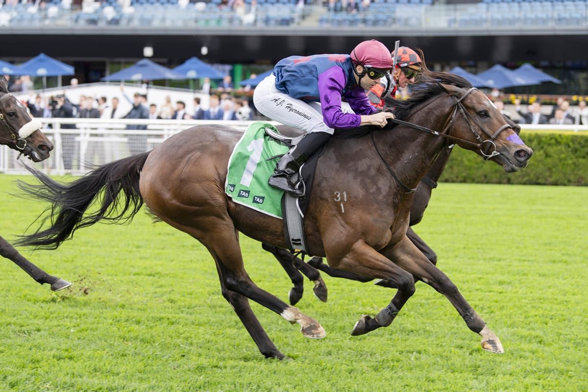 Exit Fee lands last-gasp win at Randwick