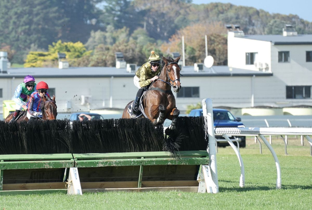 Enigmatic gelding scores at Wanganui