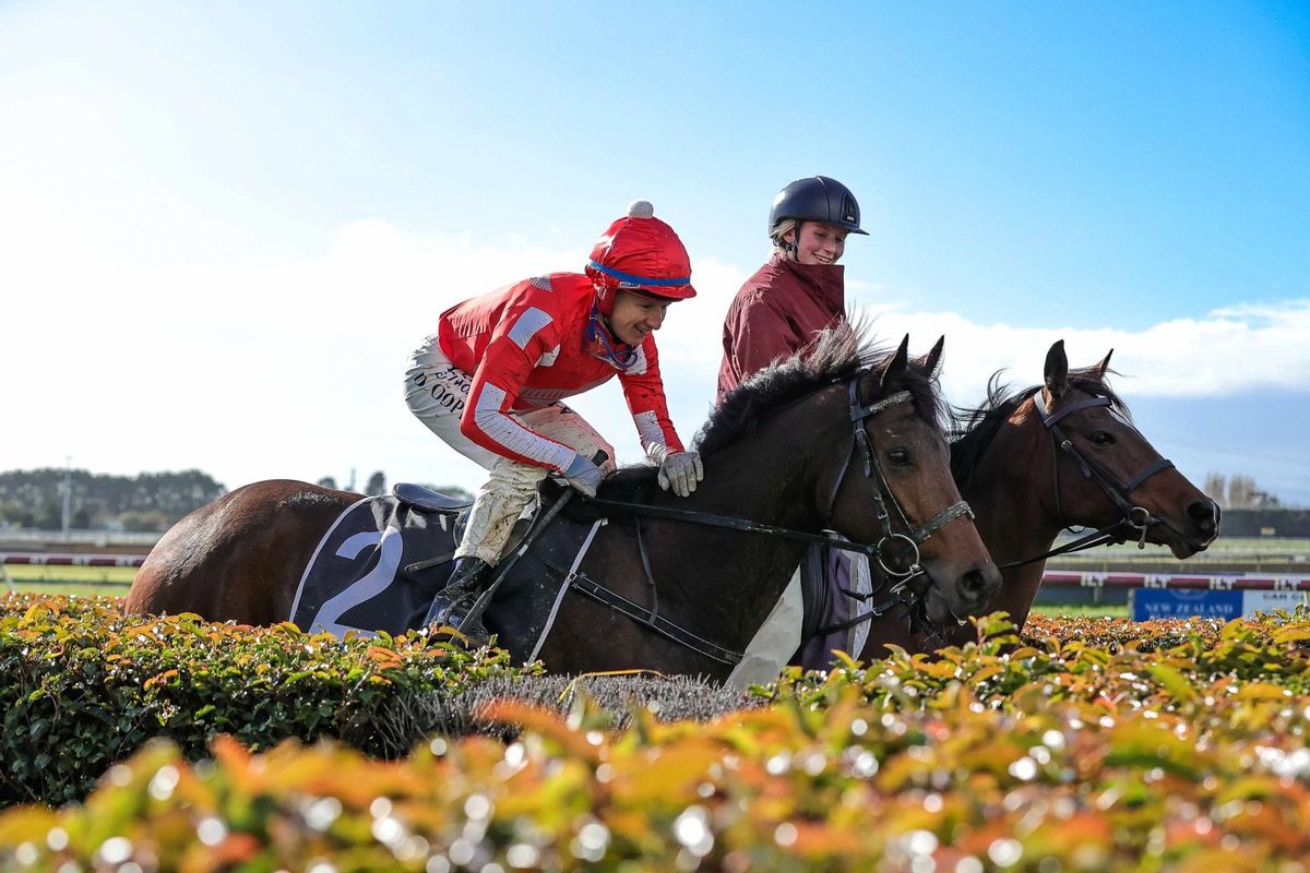Cooper brings up century of wins