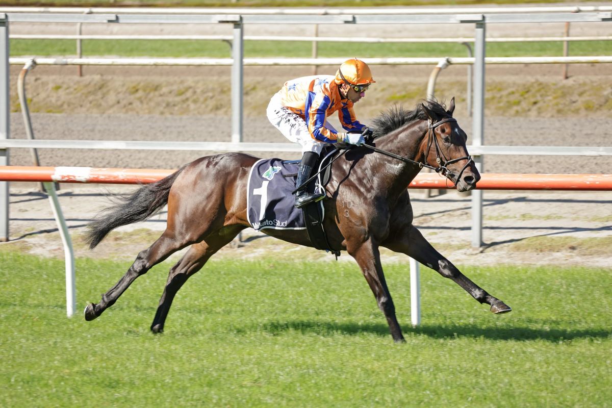 Te Akau score home juvenile quinella