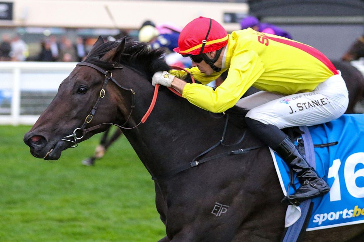Daring tactics secure victory for Hezdarnhottoo
