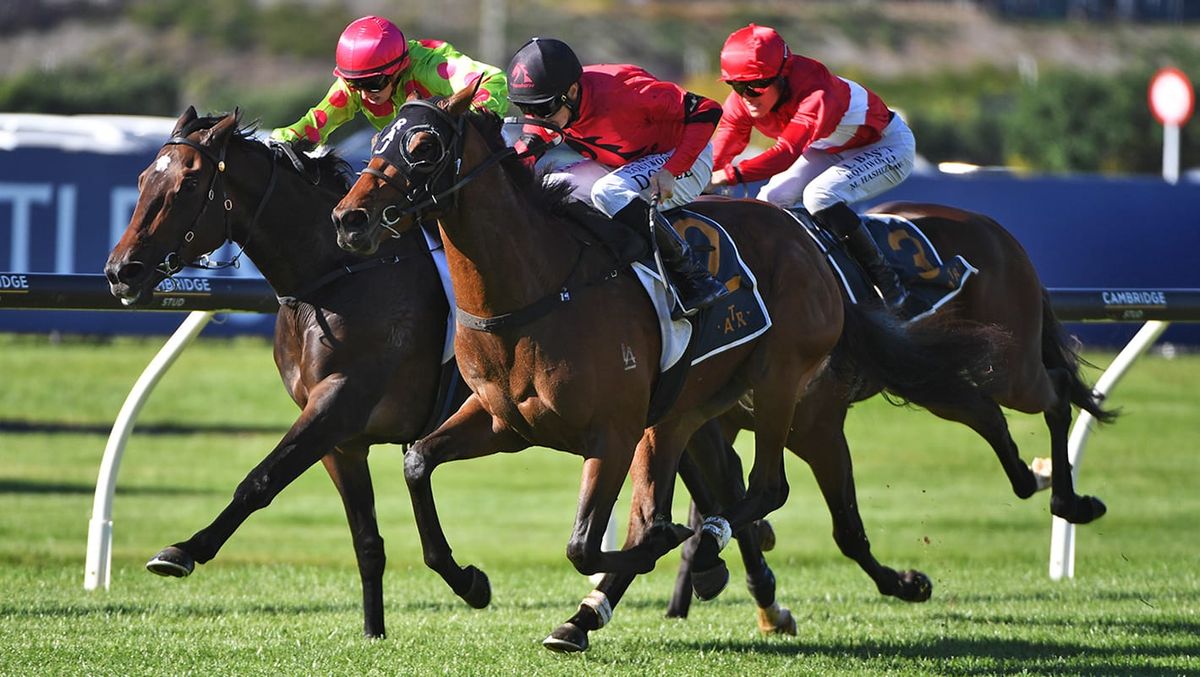 Incandescent claims stakes honours at Ellerslie