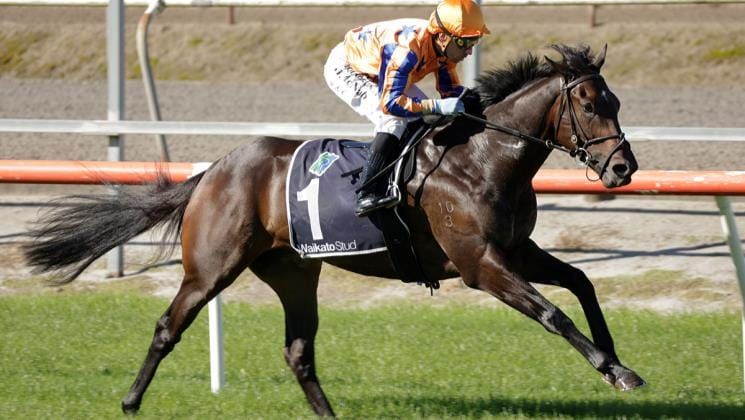 Te Akau score home juvenile quinella