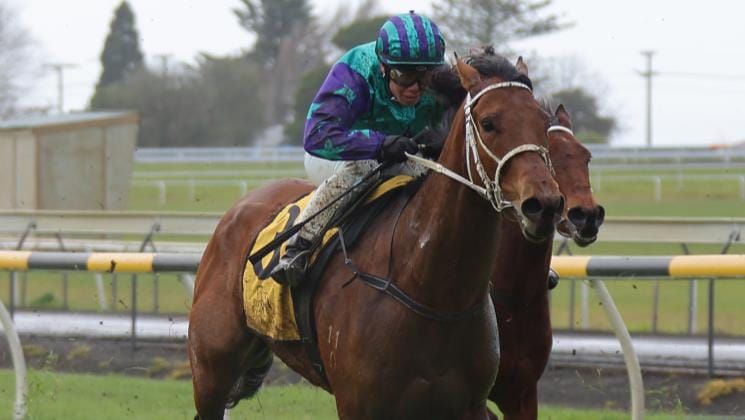 Dravitzki pair to resume at New Plymouth