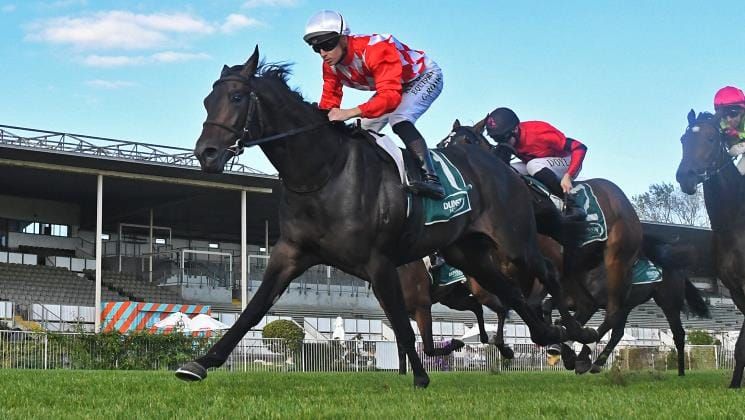 Queensland Group One still on colt’s radar