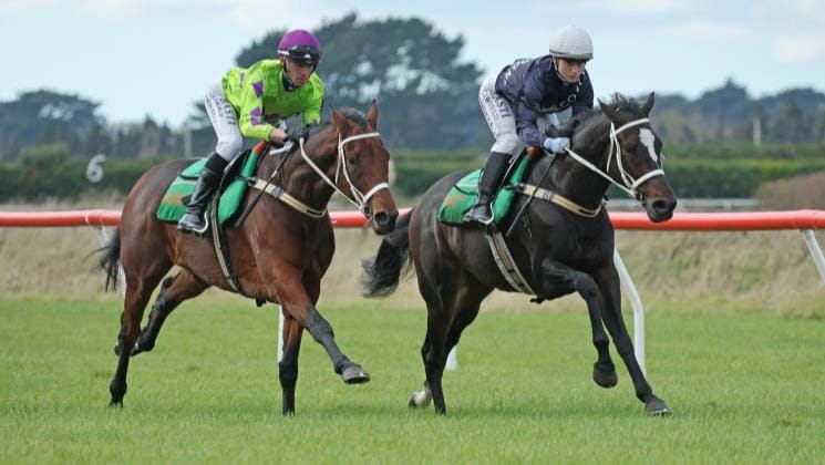 Breslin dreaming of scoring Melbourne Cup start