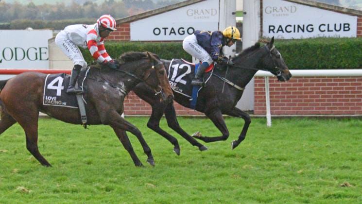 Local hopes set to shine at Wingatui