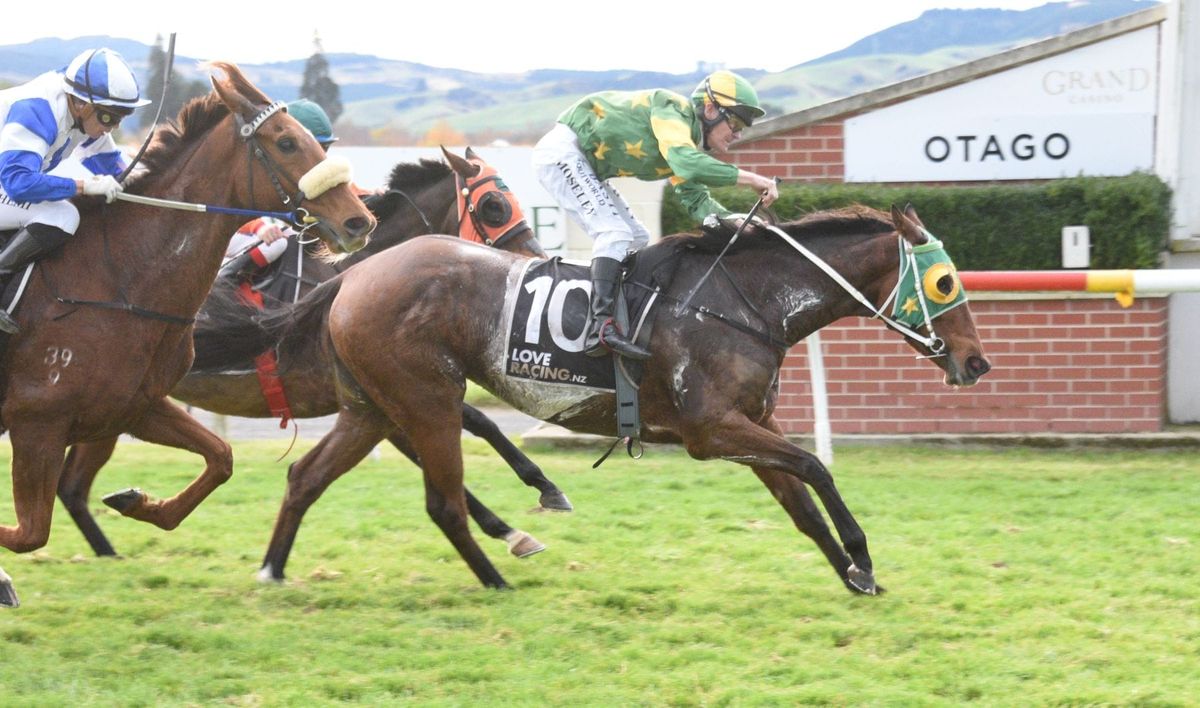 Imperative bounces back to win Wairio Cup
