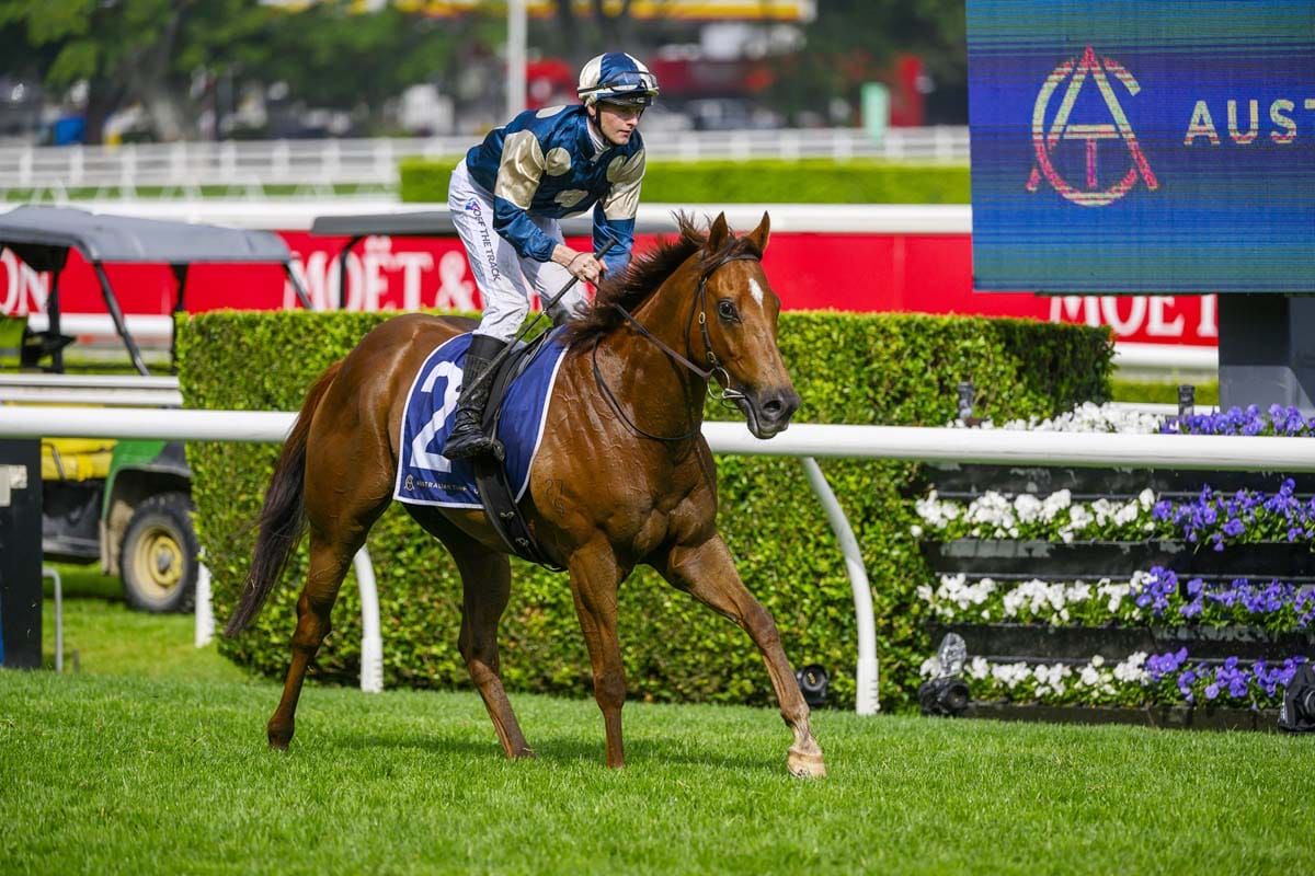Jimmy set to end his autumn drought