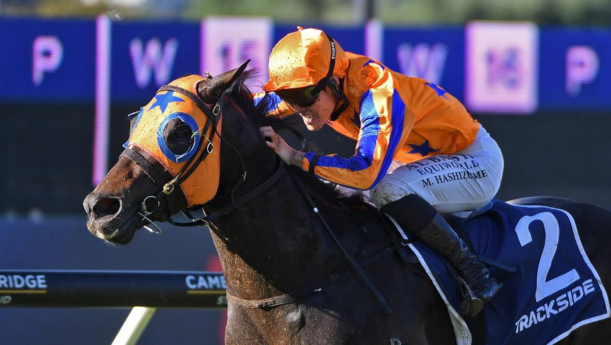 King’s English scores at Ellerslie