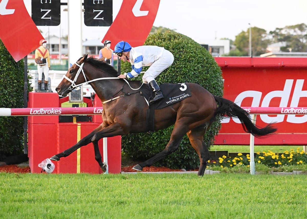 Kiwi-bred Kilman adds to Waller’s Rough Habit run