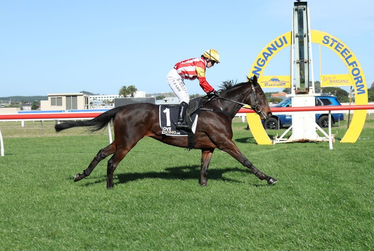 Never Look Back makes winning start to jumps season