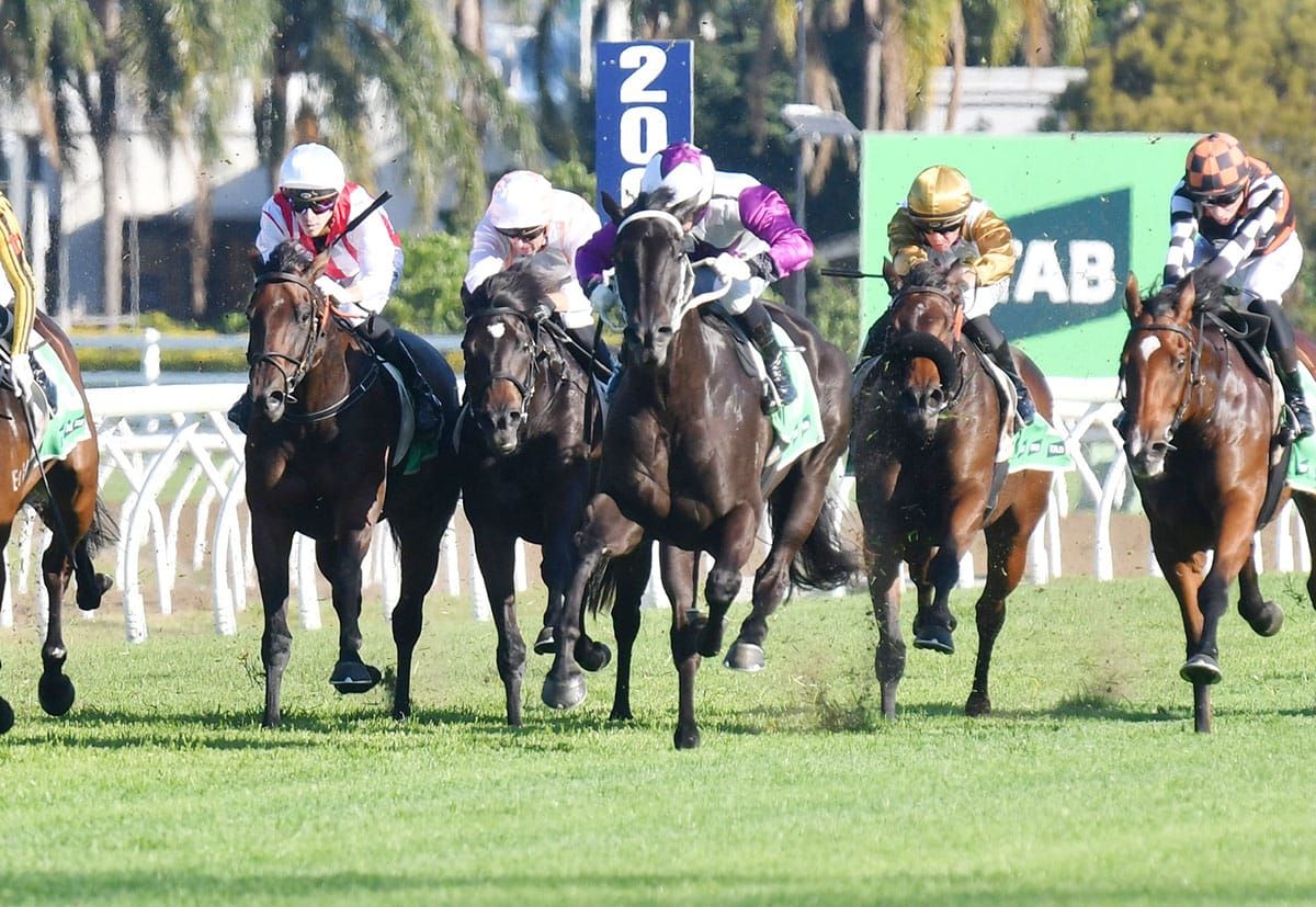 Nightline puts Oaks rivals on notice