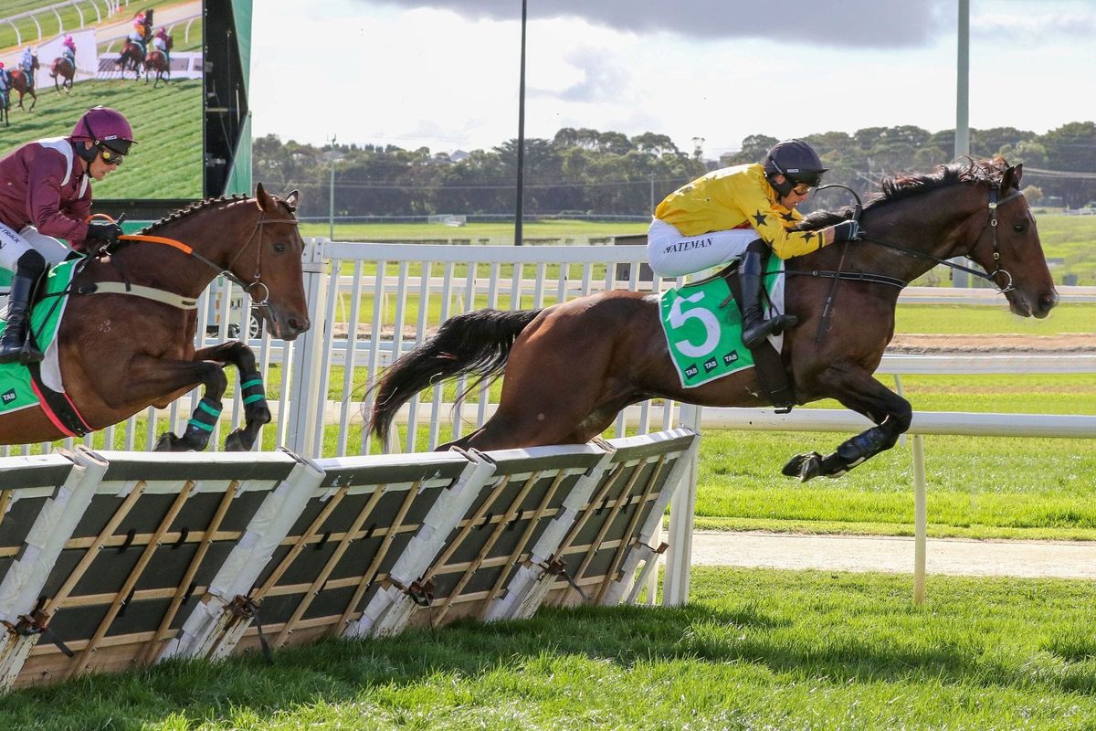 New Zealand breds win the opening races at Warrnambool