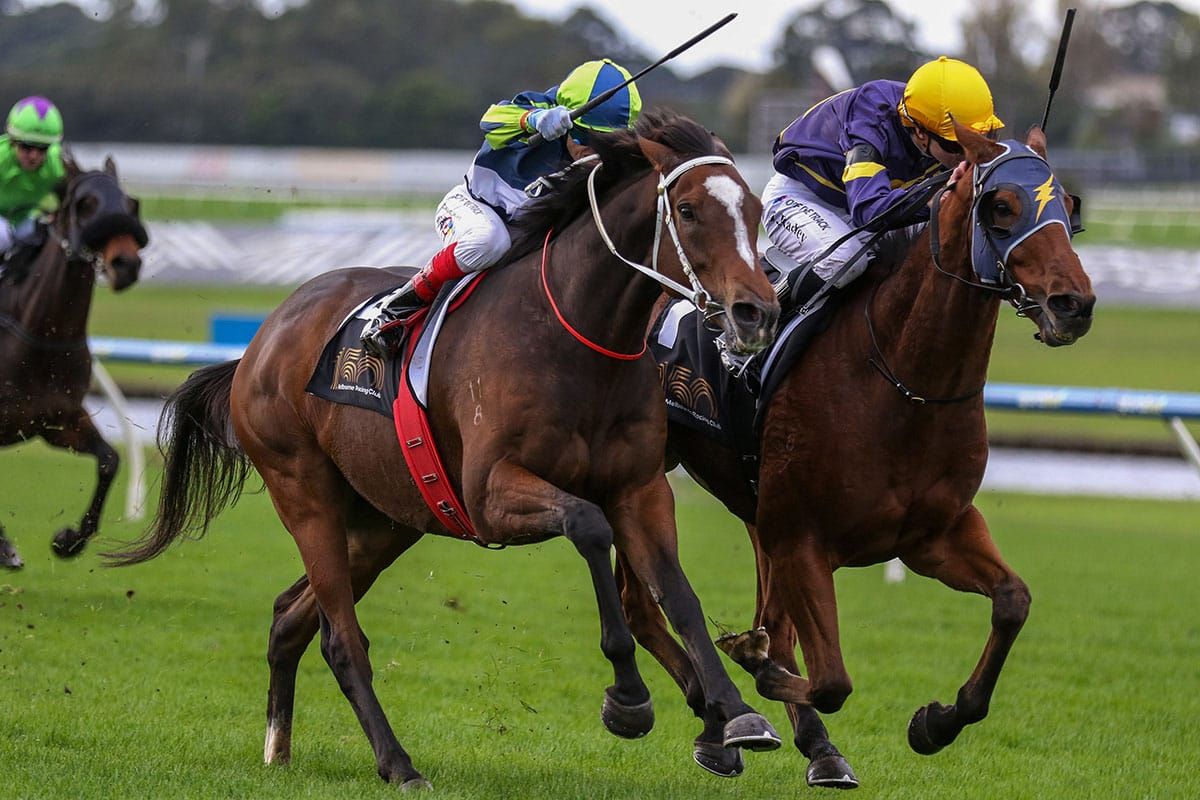 Pudding strikes at Sandown