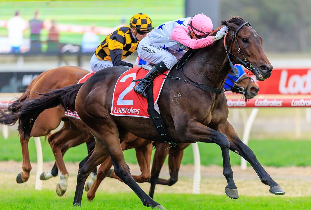 Golden run for Von Hauke at Bendigo
