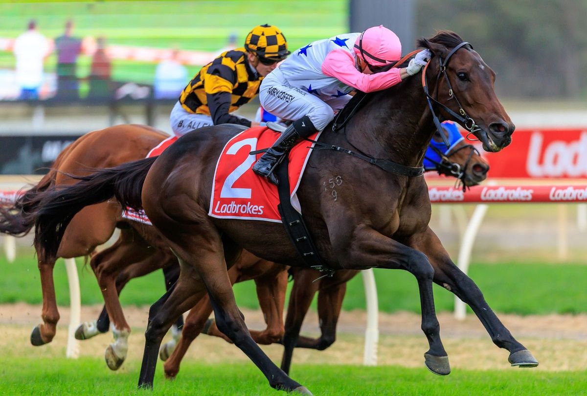 Stradbroke for Von Hauke