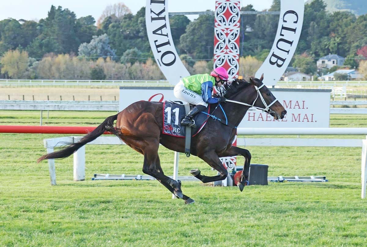 Riverplate too tough in Rangitikei Gold Cup
