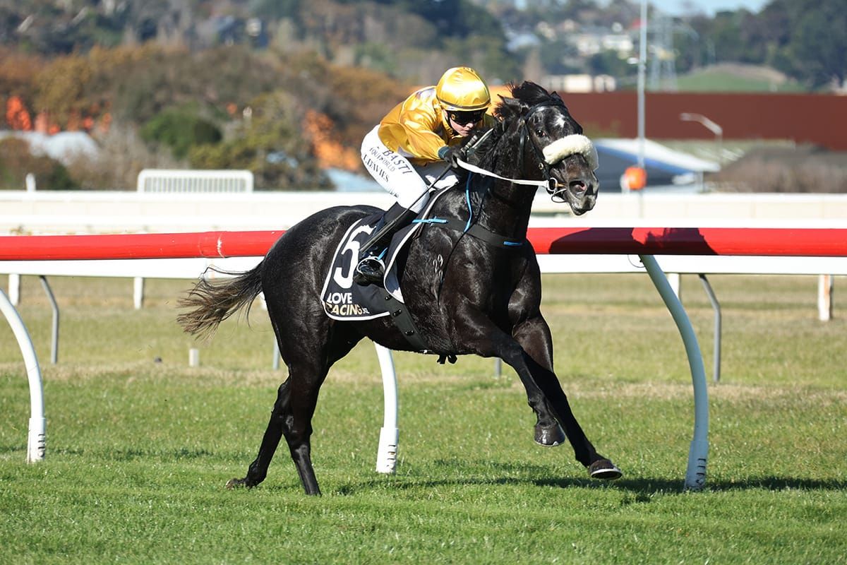 Shameless Star goes back-to-back at Wanganui