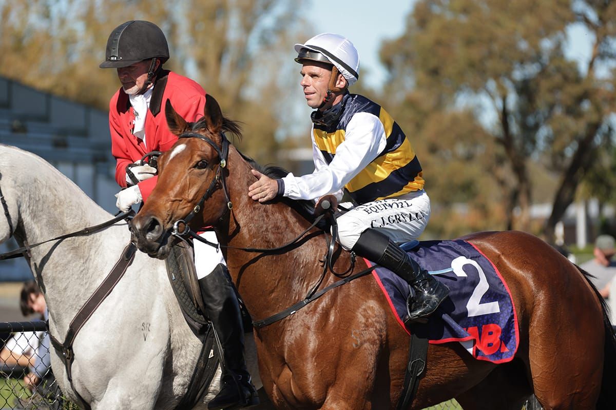 Golden opportunity with quality filly