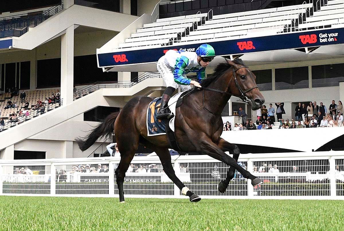 Wellwood seeking to double Queensland Derby tally