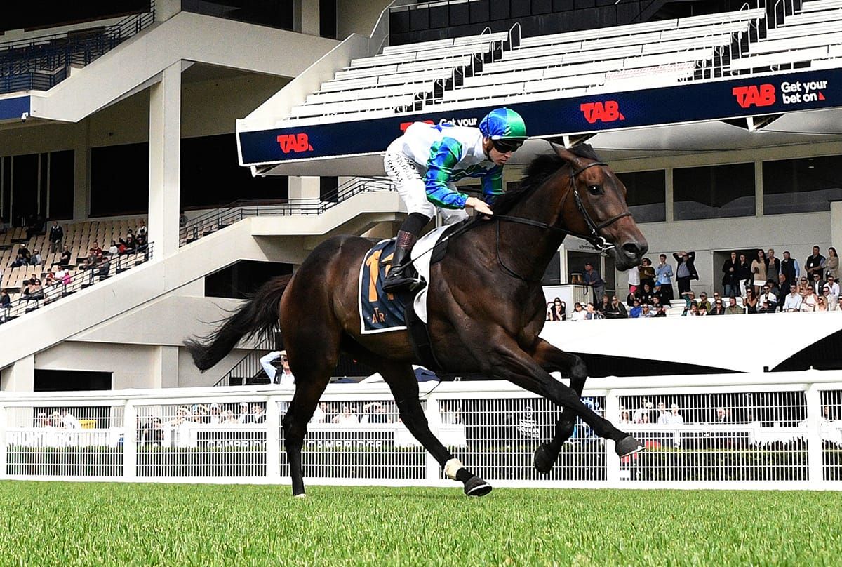 Solid Gold to make Australian debut