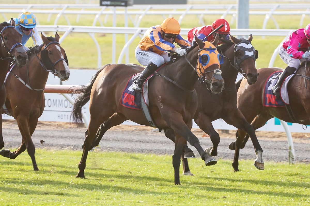 Stonybreck back to winning from at Riccarton