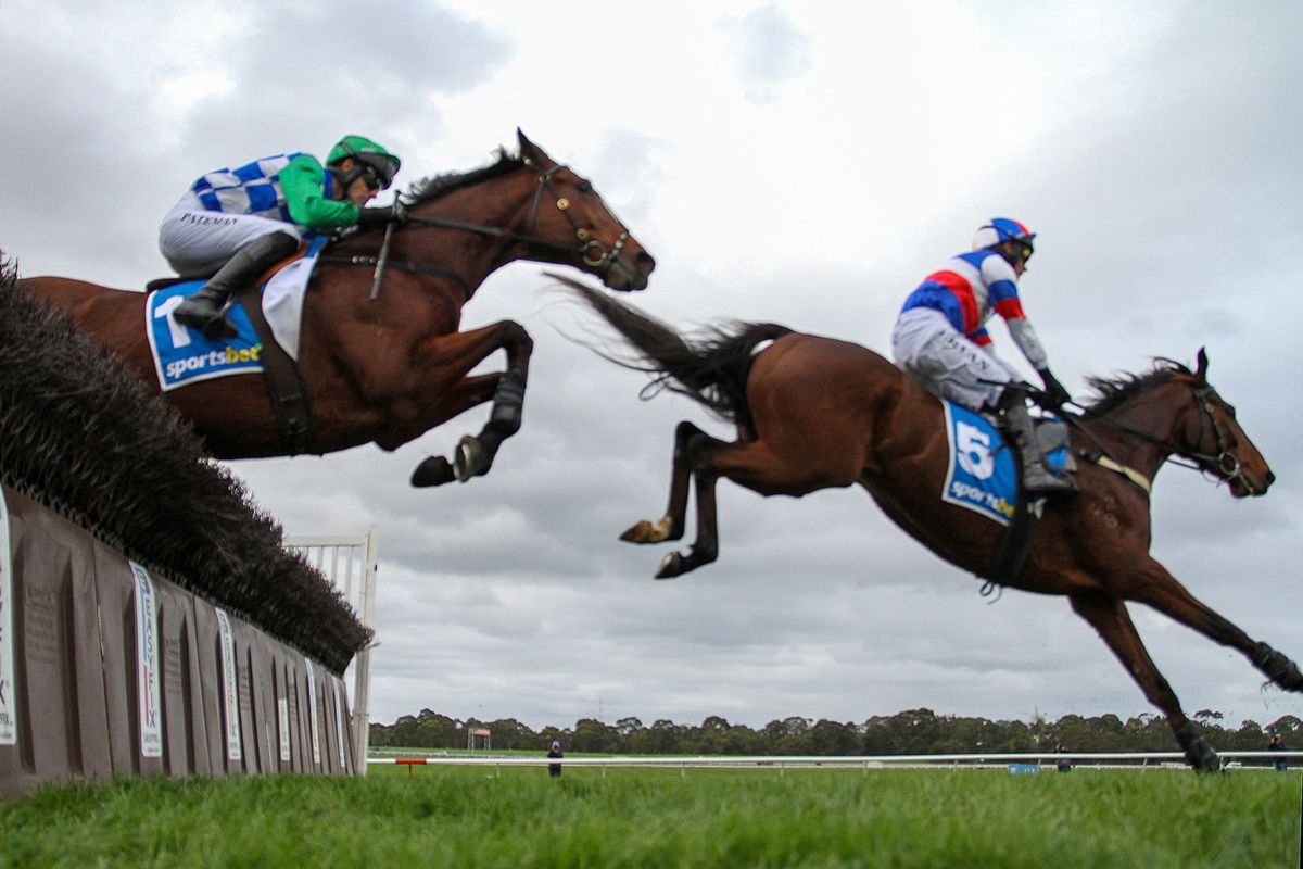 Sing For Peace stuns in steeple romp