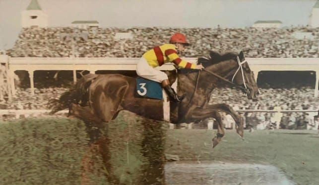 Vale Buzz Leggett