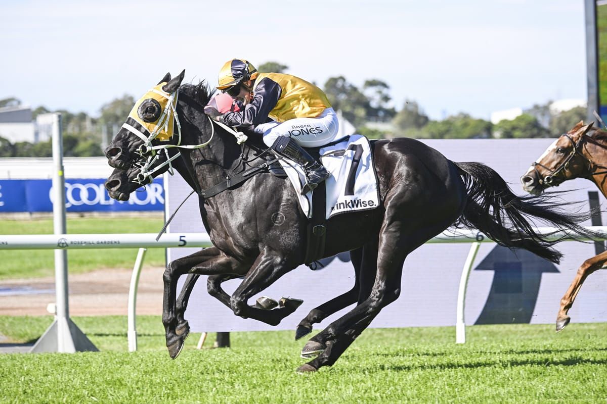 Sounds Unusual leaves it late at Rosehill