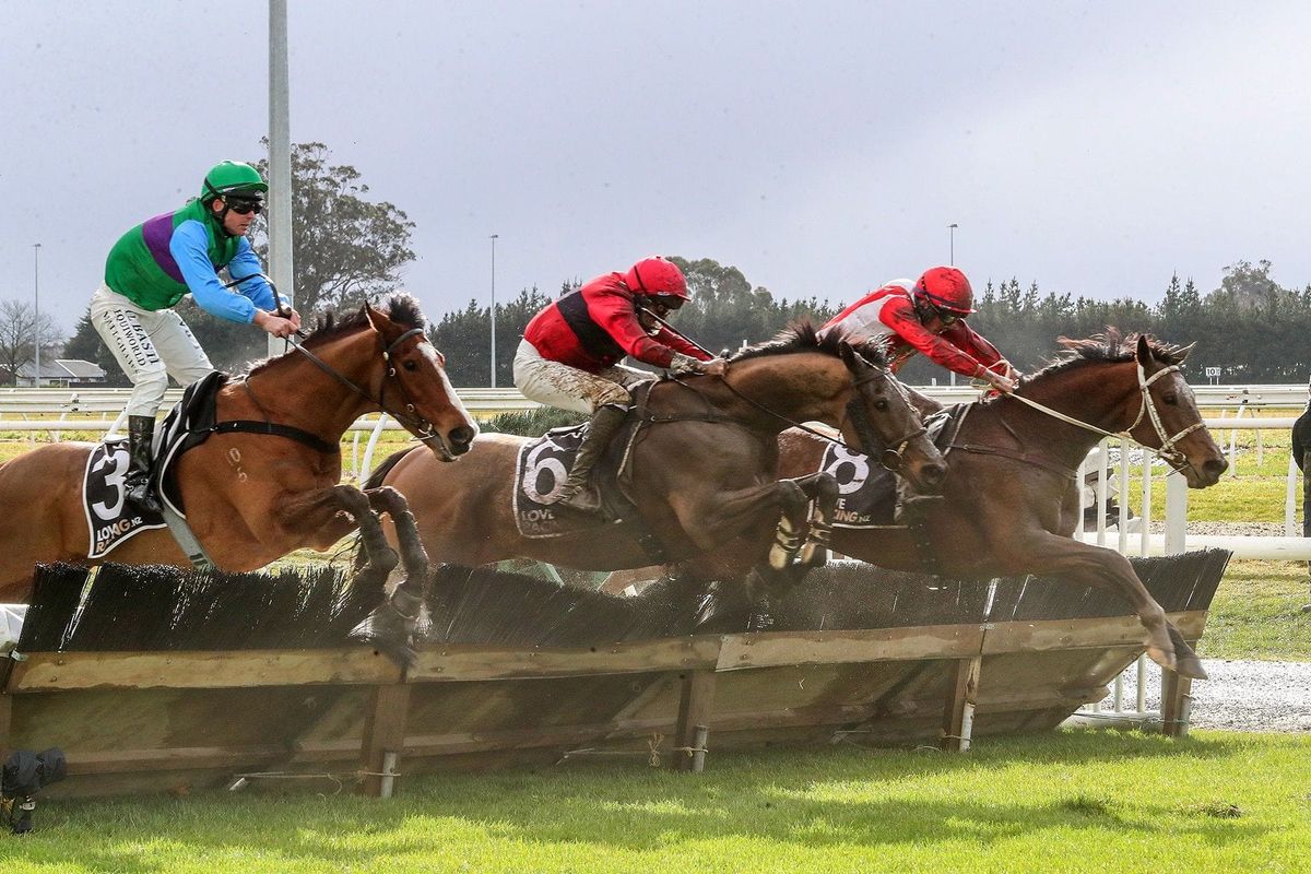 Mandatory retirement for reigning Grand National winner