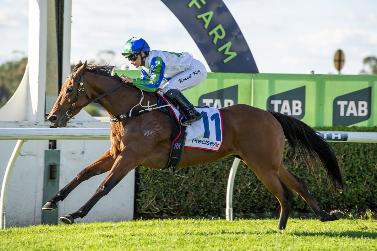 Blueblood mare goes back to back