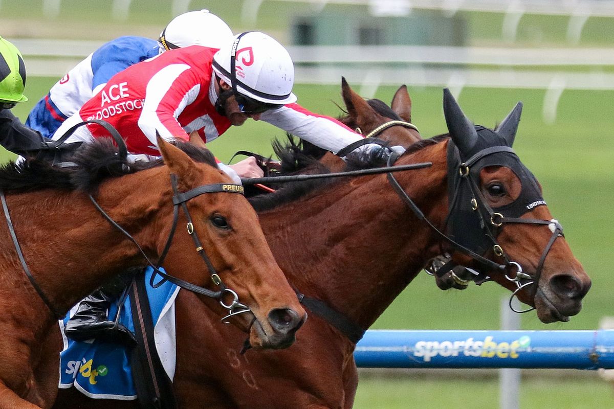 The Western Front digs in to win Sandown Cup