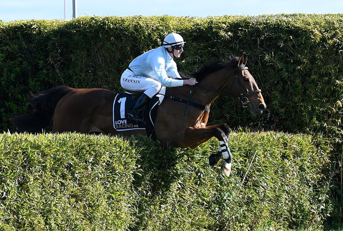 West Coast to kick-off jumping season at Te Rapa