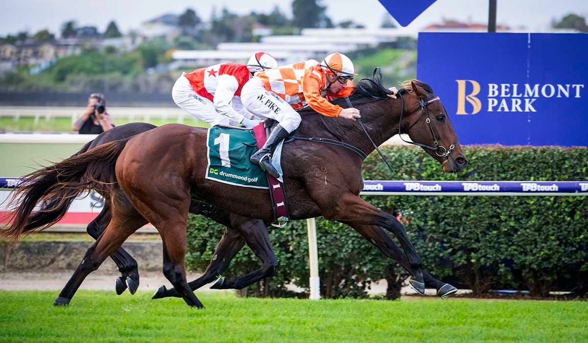 Western Empire wins second Belmont Sprint