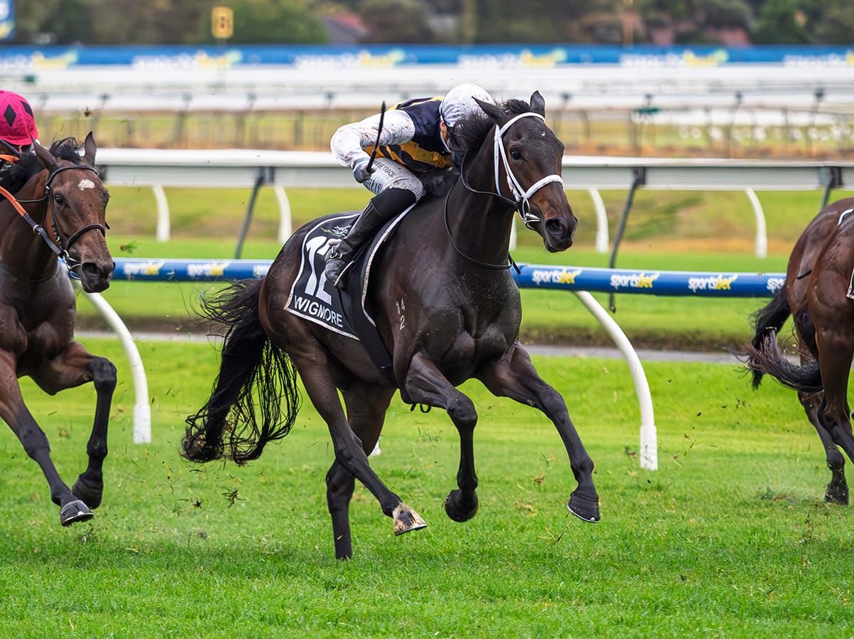 Stokes lands SA Derby with recent Kiwi addition