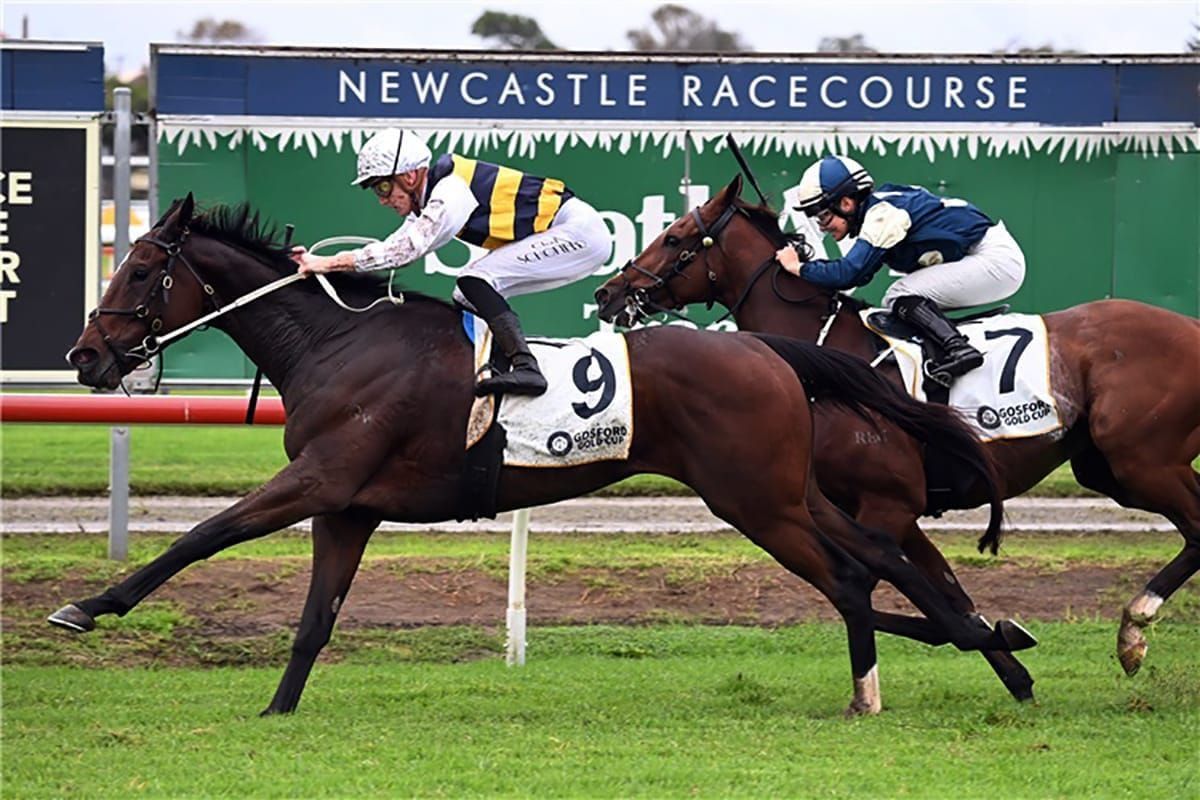 Better ground may aid Cup hope’s cause