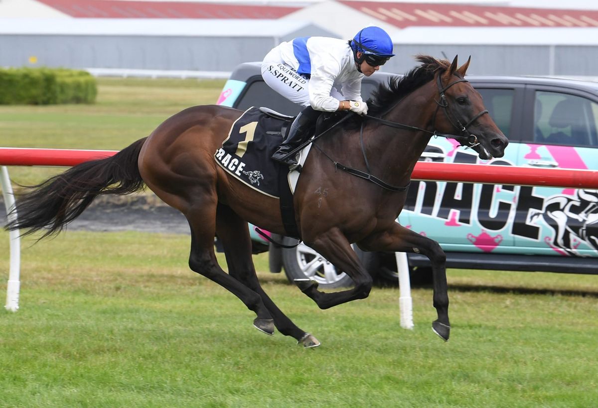 Mapperley Stud Announces 2026 Service Fees