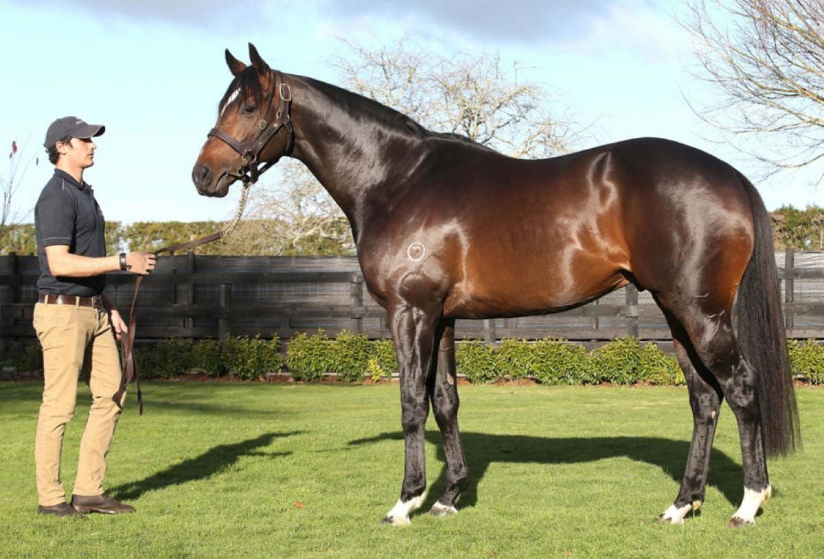 Derby success adds to Sweynesse’s golden run