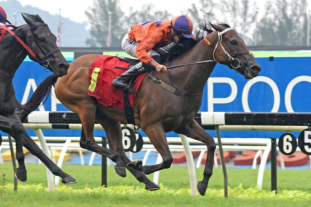 Antipodean produces APlus performance in Cup