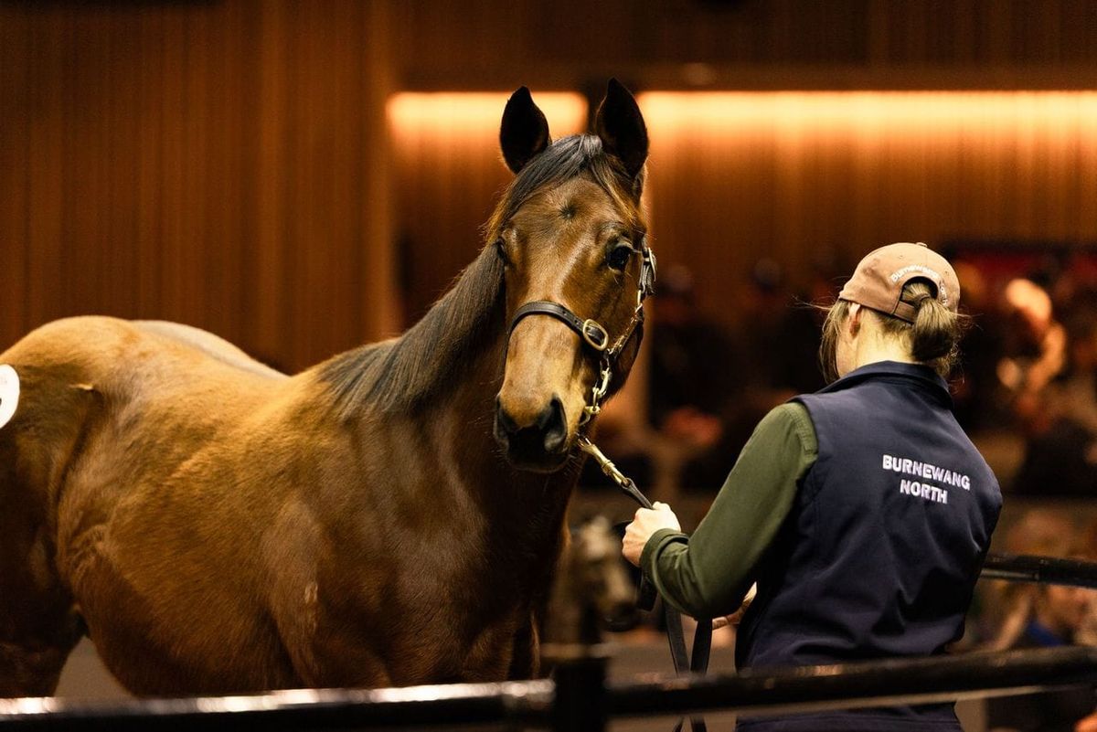 Chaldean filly catches Group One eye