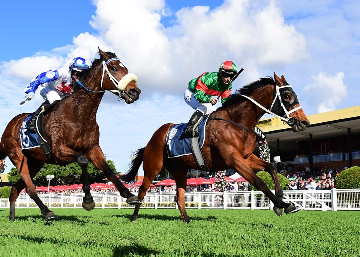 Tattersall’s Cup continues strong campaign for Asterix