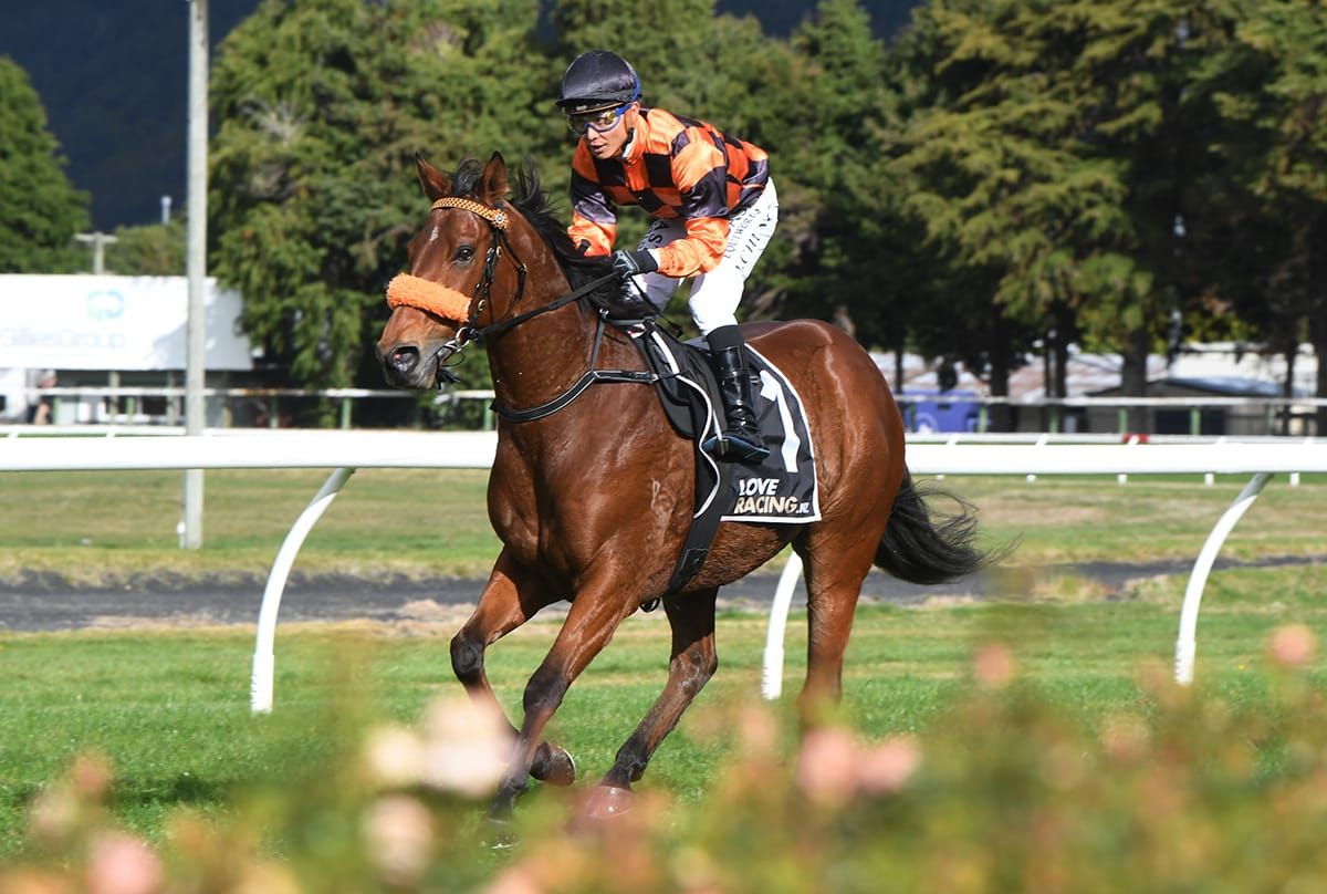 Bradman on target for southern Group finale
