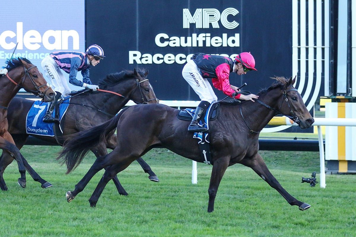 Back-to-back wins for Coeur Volante